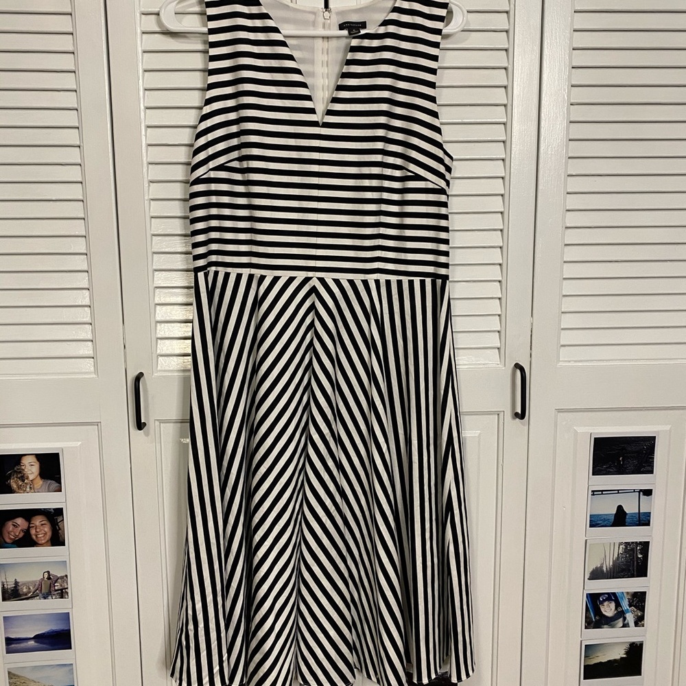Anne Taylor Dress